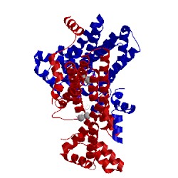 Image of CATH 2e92