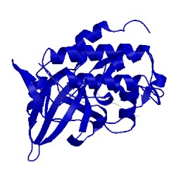 Image of CATH 2e9n