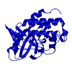 Image of CATH 2e9p