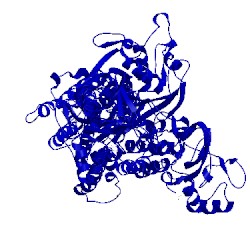 Image of CATH 2eas