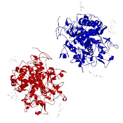 Image of CATH 2efb