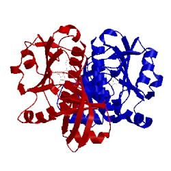 Image of CATH 2egw