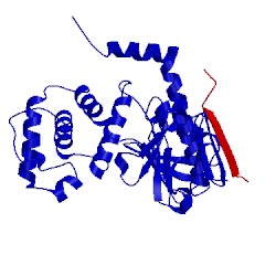 Image of CATH 2ems