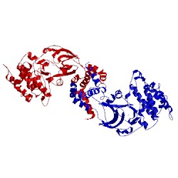 Image of CATH 2esm