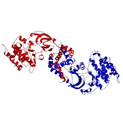 Image of CATH 2etk