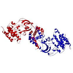 Image of CATH 2etr