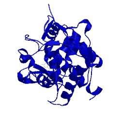 Image of CATH 2eus