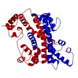 Image of CATH 2ev2