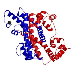 Image of CATH 2ev4