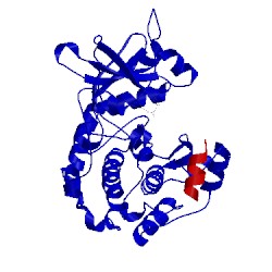 Image of CATH 2f7e