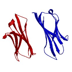 Image of CATH 2f8o