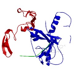 Image of CATH 2f9b