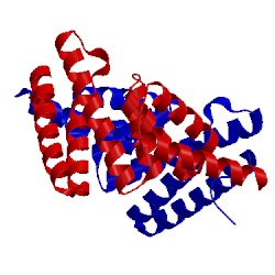 Image of CATH 2fbn