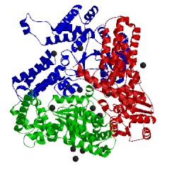 Image of CATH 2ffh