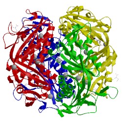 Image of CATH 2fhj