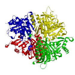 Image of CATH 2fie