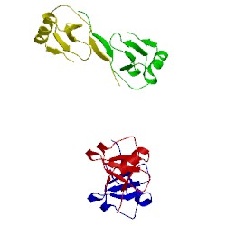 Image of CATH 2fj2