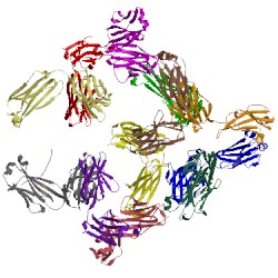 Image of CATH 2fjf