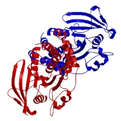 Image of CATH 2fjn