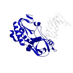 Image of CATH 2fjv