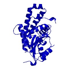 Image of CATH 2fk7