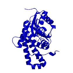 Image of CATH 2fk8