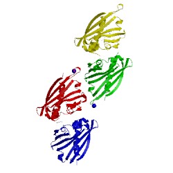 Image of CATH 2flh
