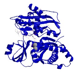 Image of CATH 2fll