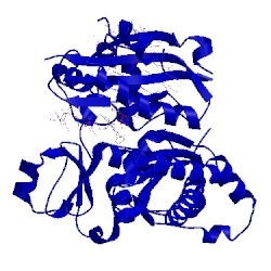 Image of CATH 2flp