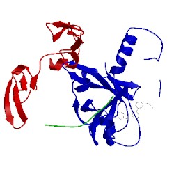 Image of CATH 2flr