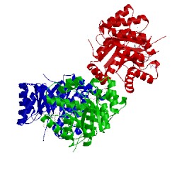 Image of CATH 2fmn