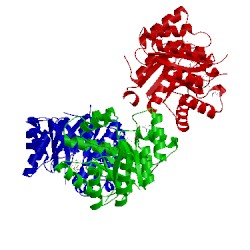 Image of CATH 2fmo