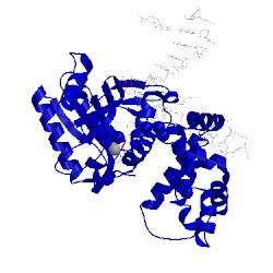 Image of CATH 2fmp