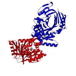Image of CATH 2fn1