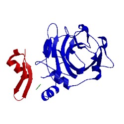 Image of CATH 2fnj