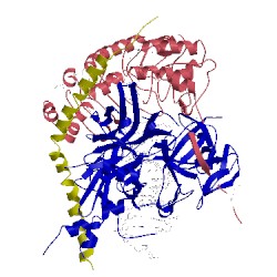 Image of CATH 2fo1