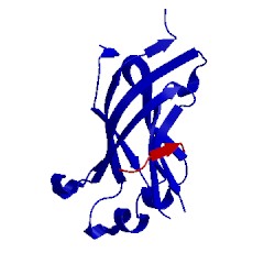 Image of CATH 2foj