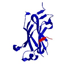 Image of CATH 2foo