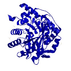 Image of CATH 2fpy