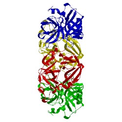 Image of CATH 2fpz