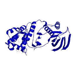 Image of CATH 2fst