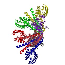 Image of CATH 2ftk