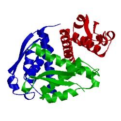 Image of CATH 2fvh