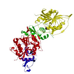 Image of CATH 2fyc