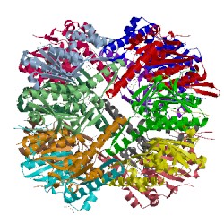 Image of CATH 2fzs
