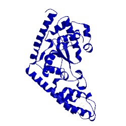 Image of CATH 2g36