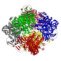 Image of CATH 2g3m