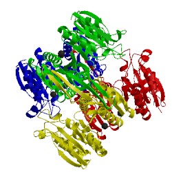 Image of CATH 2g4o