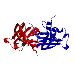 Image of CATH 2g4w