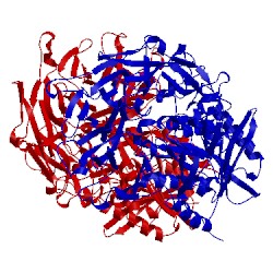 Image of CATH 2g5p